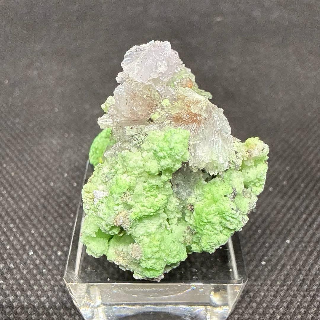 Natural Clinohumite Rough Stone with Acrylic Base Set: Natural Clinohumite Rough Stone and Acrylic Base Set This is an unprocessed clinohumite stone. The uncut gemstone features a striking fluorescent green color. It originates from Sichuan Province,