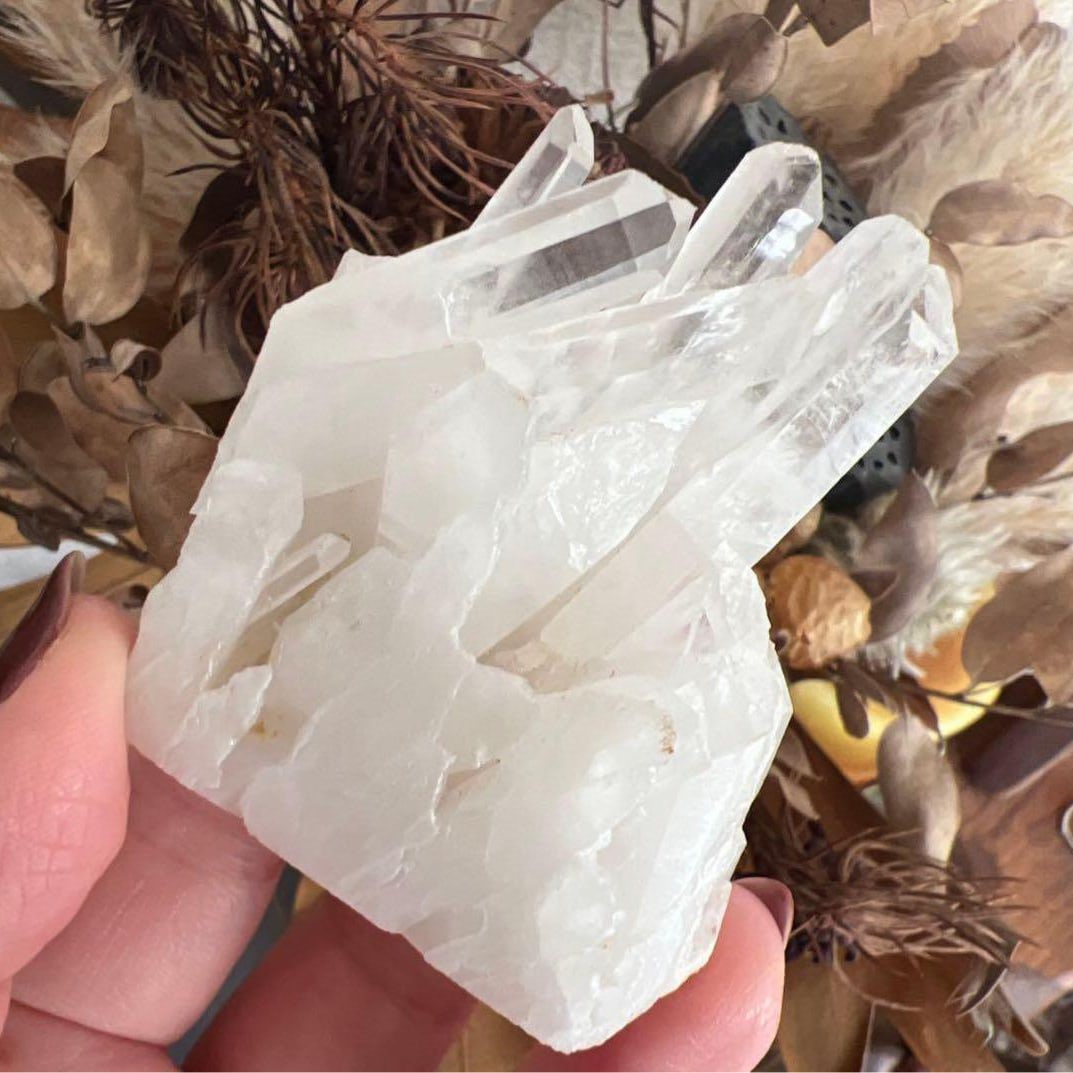 Mysterious Lemurian Seed Quartz: Mysterious Lemurian Seed Quartz Freight: 1.International Freight: Foreign shipping charges are determined by destination. 2.Photos, descriptions and valuations have been meticulously prepared by