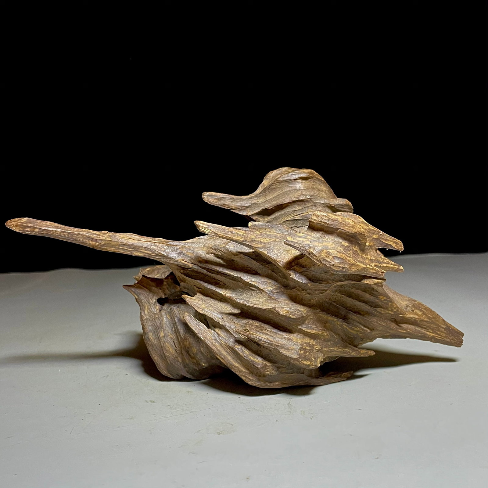 Precious Agarwood Log (1 of 9)
