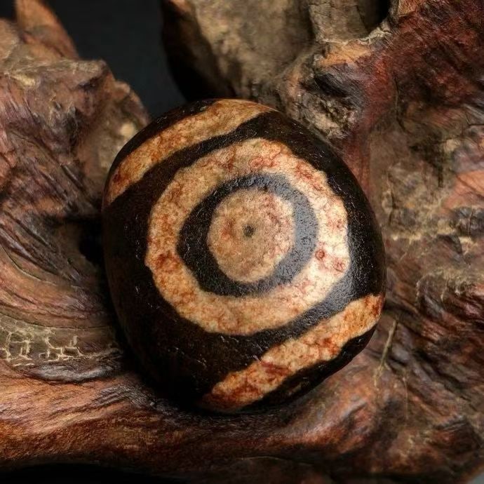 Old Material High Oil Patina Cinnabar Tianzhu: Old Material High-Oil Patina Dzi Bead with Cinnabar Infiltration, dimensions 31x27x15 mm, weight 18.9 grams. This Dzi bead features clear and distinct patterns, with a fine orange peel texture and a l