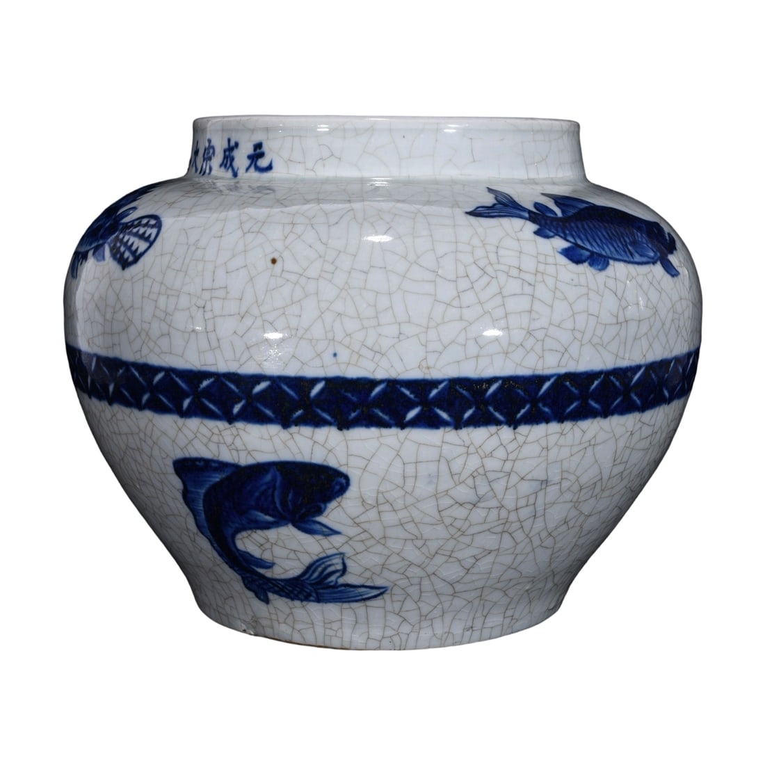 Yuan Dynasty Blue and White Fish Pattern Jar (1 of 10)