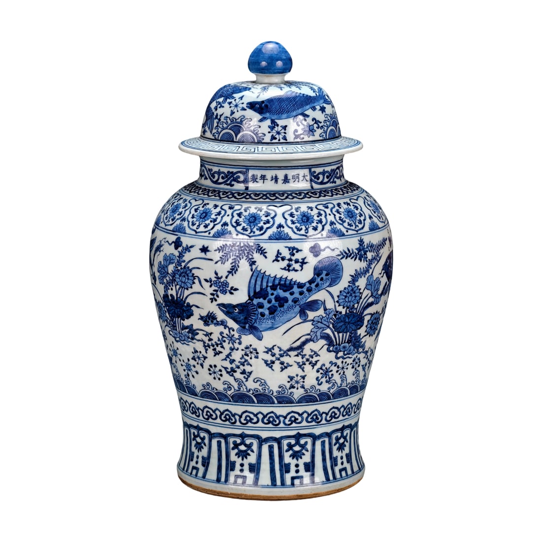 Ming Dynasty Blue and White General Jar with Lotus Pond and Fish Design (1 of 10)