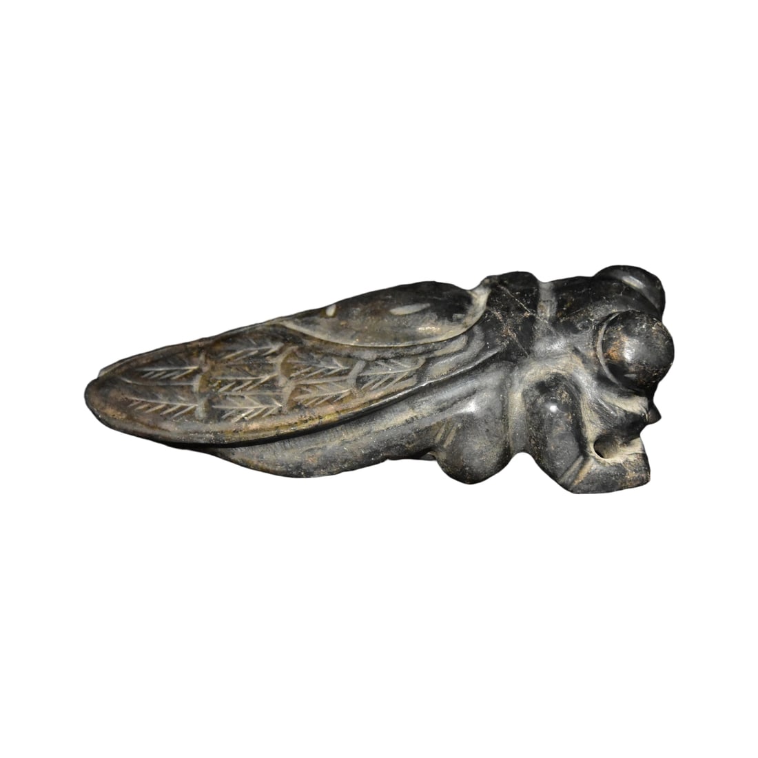 Meteorite Golden Cicada (1 of 9)