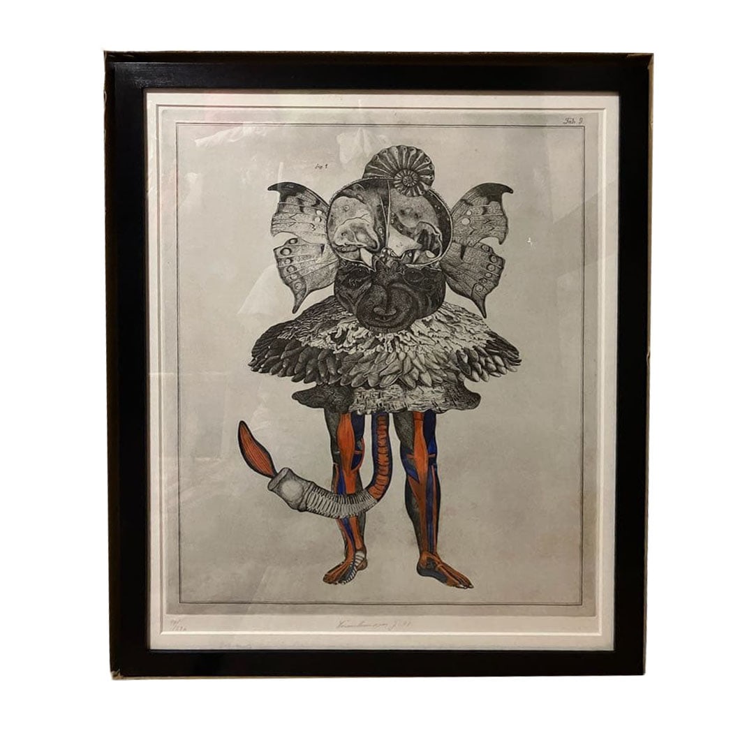 "Caudatus Pudicus (The Modest Tail) Natural History Tab.9" Limited to 29 copies worldwide: "Caudatus Pudicus (The Modest Tail) Natural History Tab.9" Limited to 29 copies worldwide Created by Jan vankmajer, dimensions including the outer box approximately 600x800 mm. The artwork has changed
