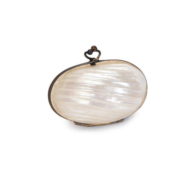 Victorian Sea Shell Shell Body  Box (1 of 5)