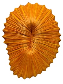 Handmade Gold Pleated Silk Coral Wall & Ceiling Li