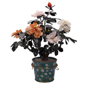 Chinese Jade Tree In Cloisonne Planter, Bonsai