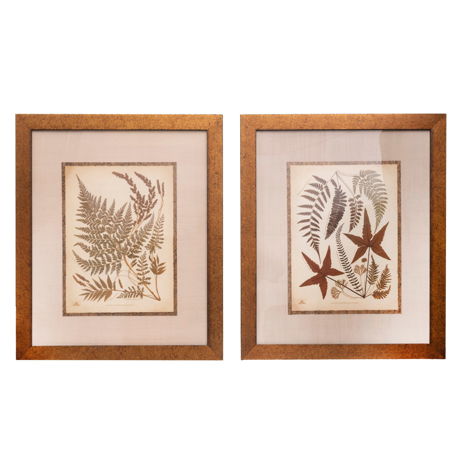 Pair of Framed Botanical Pressed Fern Prints – The (1 of 9)
