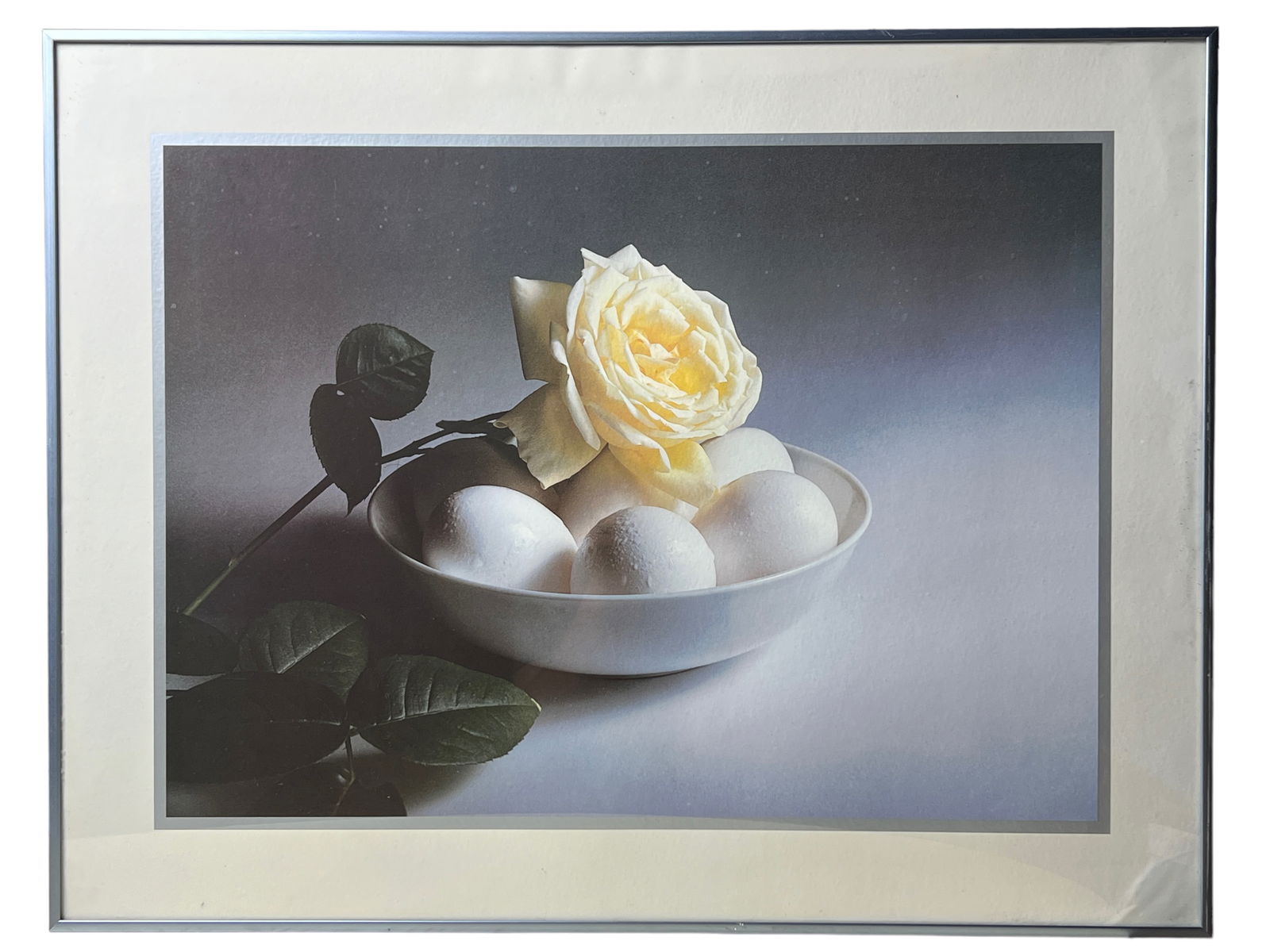 Color Print Of A Photograph In A Metal Framed: Color Print Of A Photograph In A Metal FramedColor print of a photograph in a silver tone metal frame, unsigned, with a sticker on the back from J.B. Fine Arts. The image depicts a white rose
