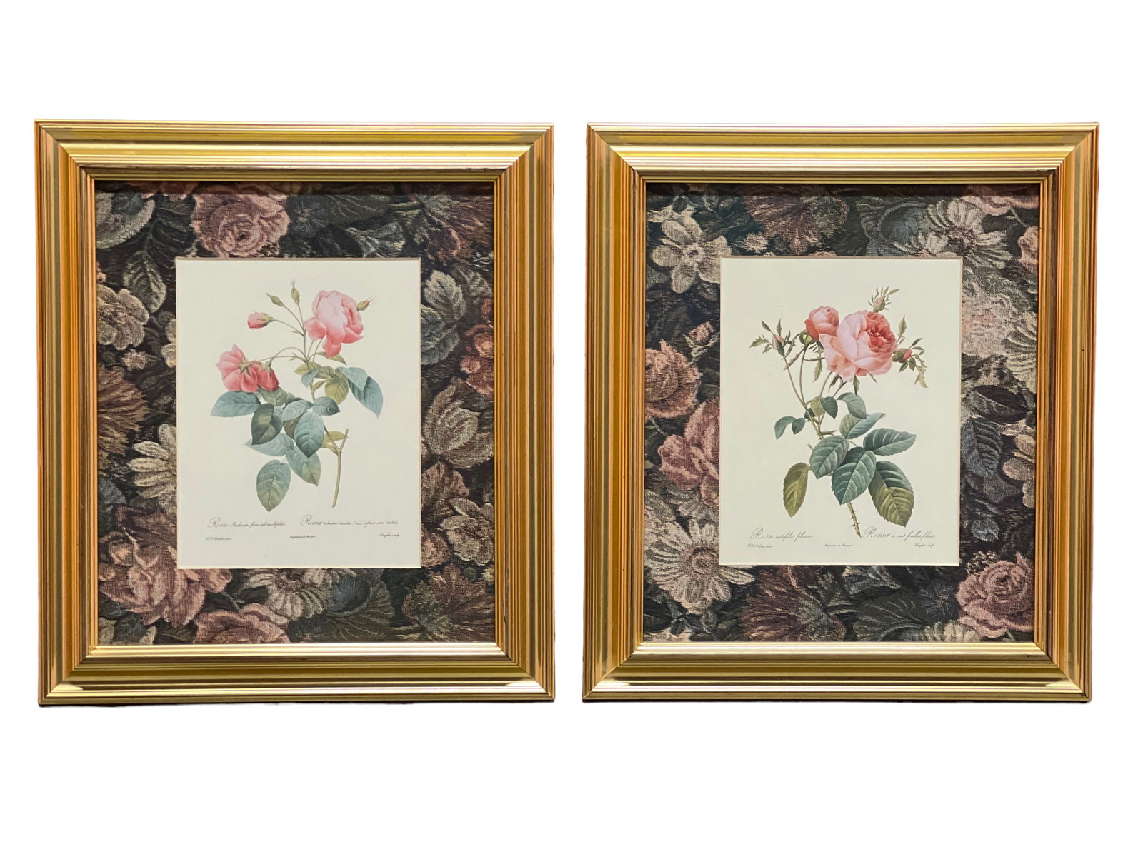 Two Framed Art Works (1 of 4)