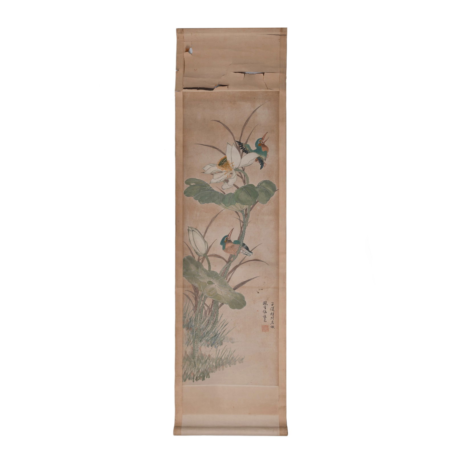 Hanging Scroll of Lotus and Kingfishers: Hanging Scroll of Lotus and KingfishersOverall: H: 45 inches W: 12 inches Image Size: H:32 1/2 inches W:10 1/2 inches