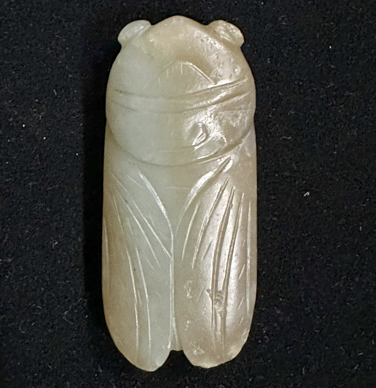 A Chinese White Jade Cicada (1 of 2)