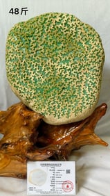 A full green jadeite rough stone