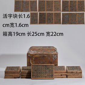 Movable Type Printing Modules (One Box, Sixteen Cases)