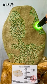 High Ice Type Full Green Jadeite Rough Stone