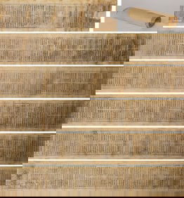 Avata?saka S?tra in Xixia Script