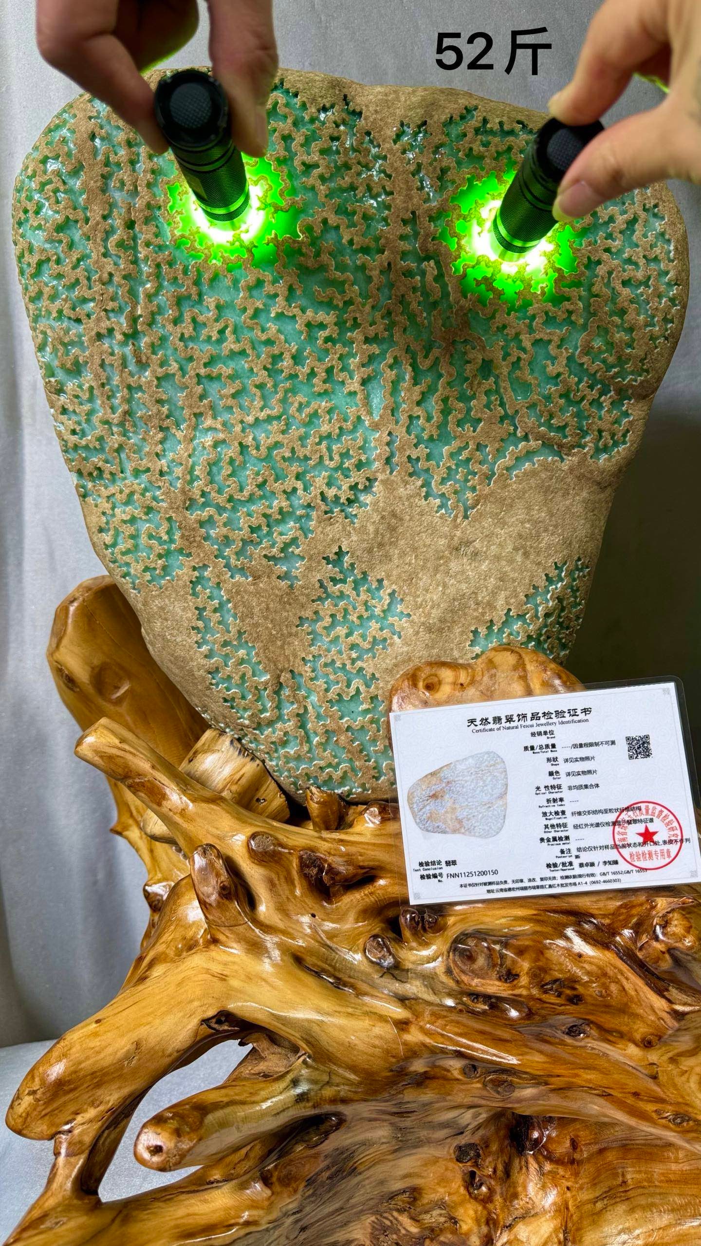 Fine Full Green Jadeite Rough Stone (1 of 11)