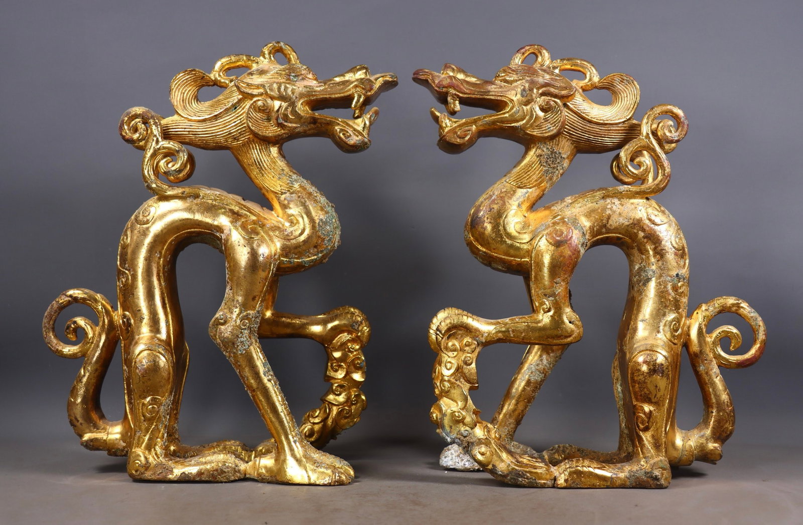 Pair of Warring States/Han Period Gilt Bronze Dragons: Pair of Warring States to Han Dynasty Gilt Bronze Dragons : Cast from bronze with gilded surfaces, these dynamic dragon sculptures feature coiled bodies and fierce expressions, measuring 31.5 cm in