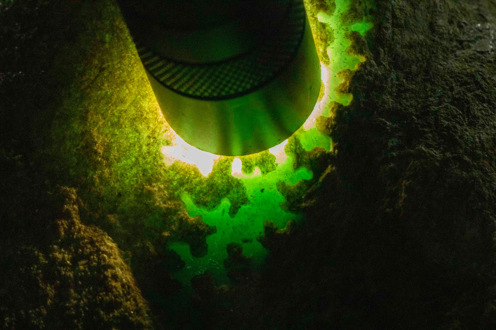 Jadeite Rough Stone - 7