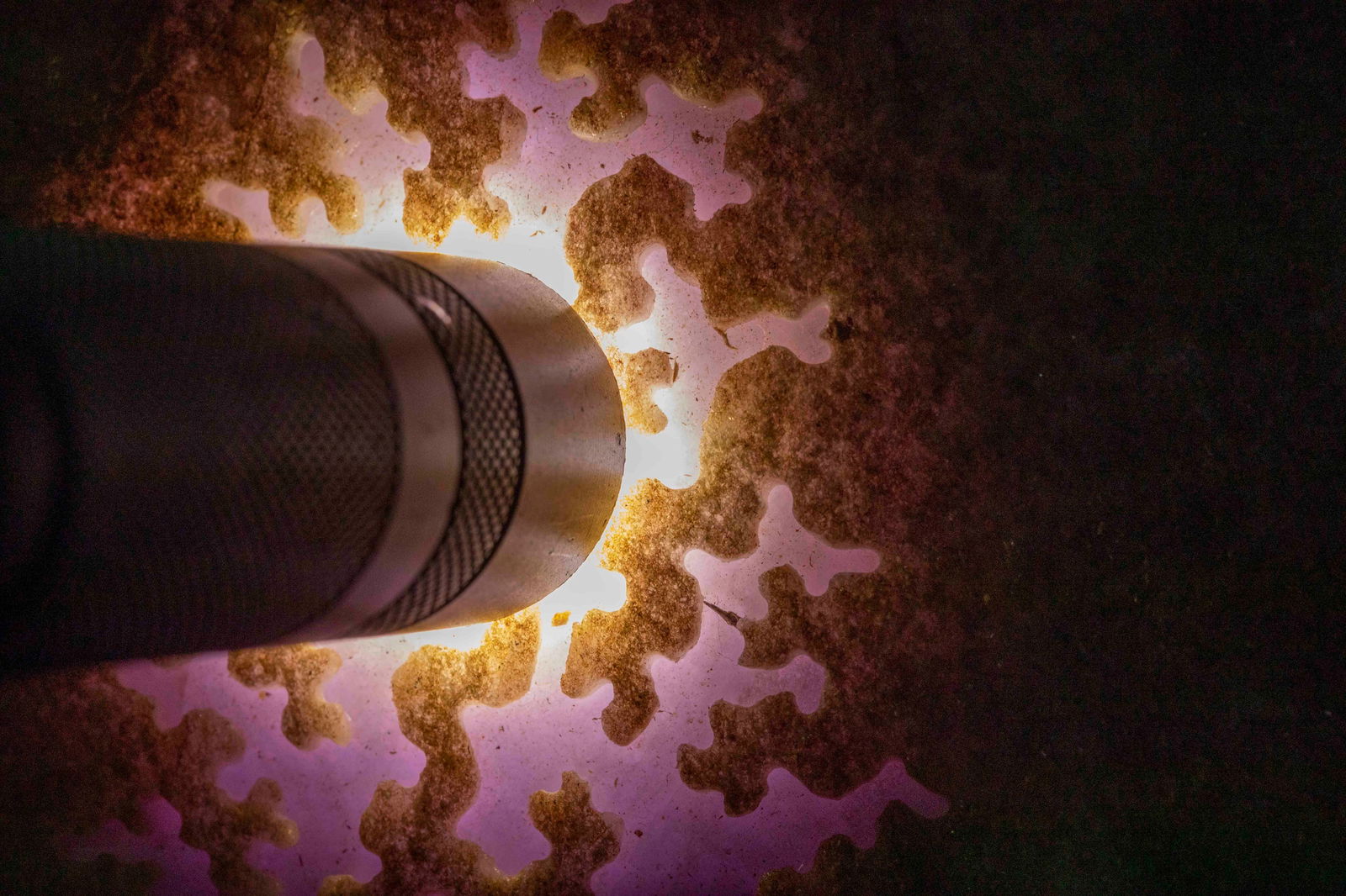 Jadeite Rough Stone - 8