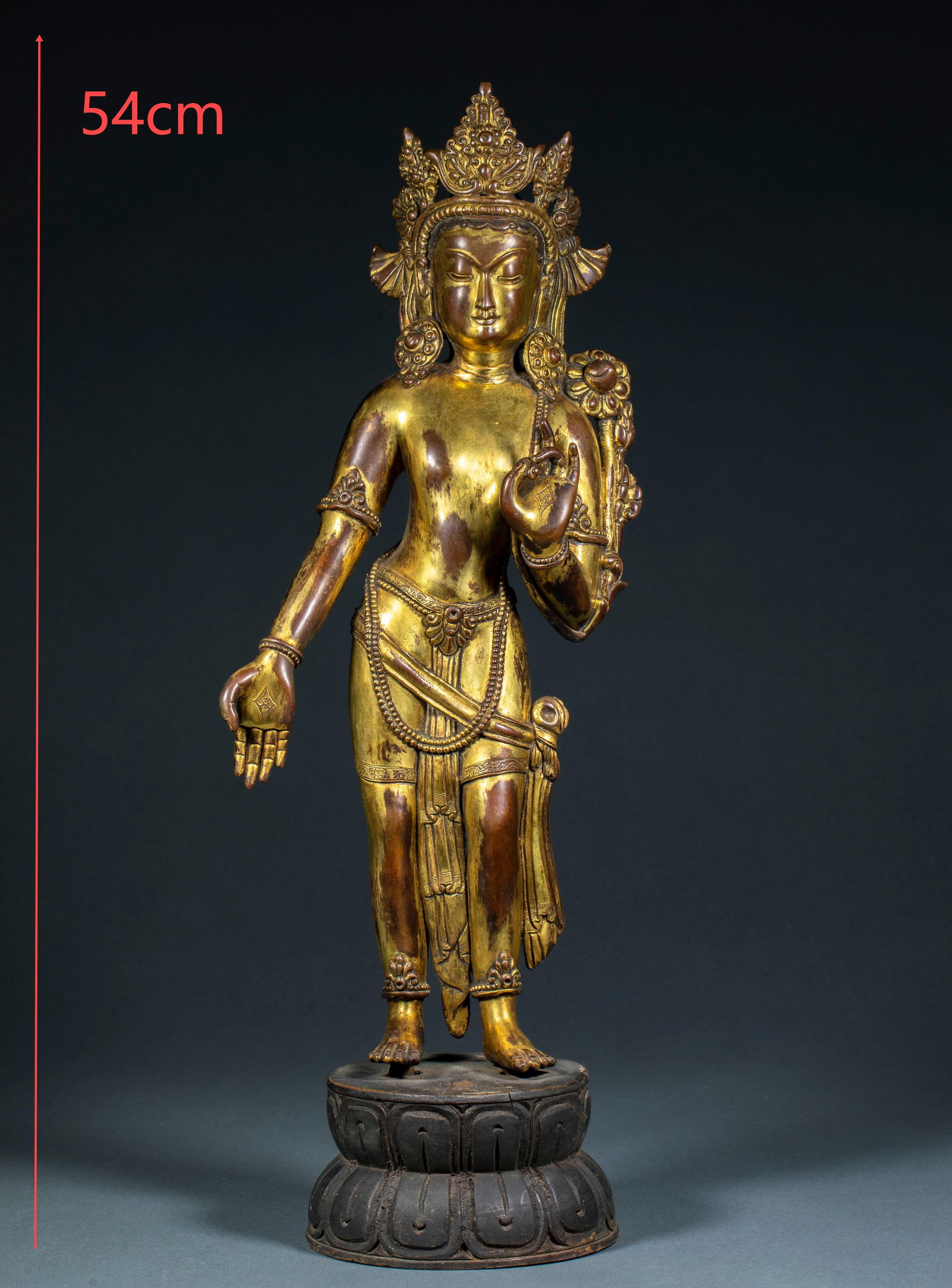 Gilt Standing Tara Statue, Ming Dynasty (1 of 14)