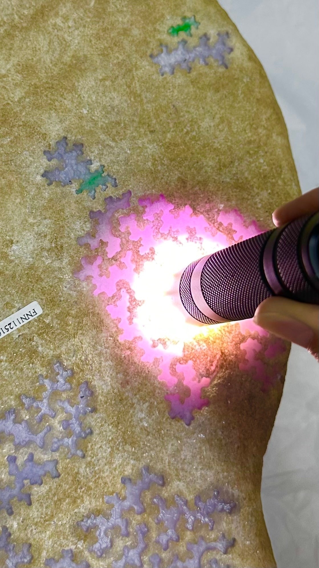 Violet Jadeite Rough Stone - 3