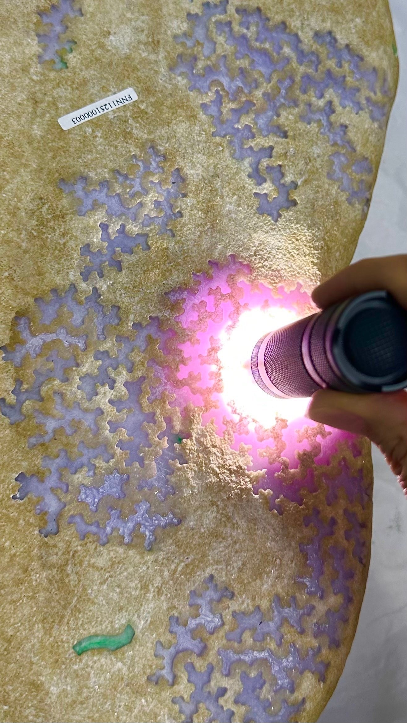 Violet Jadeite Rough Stone - 4