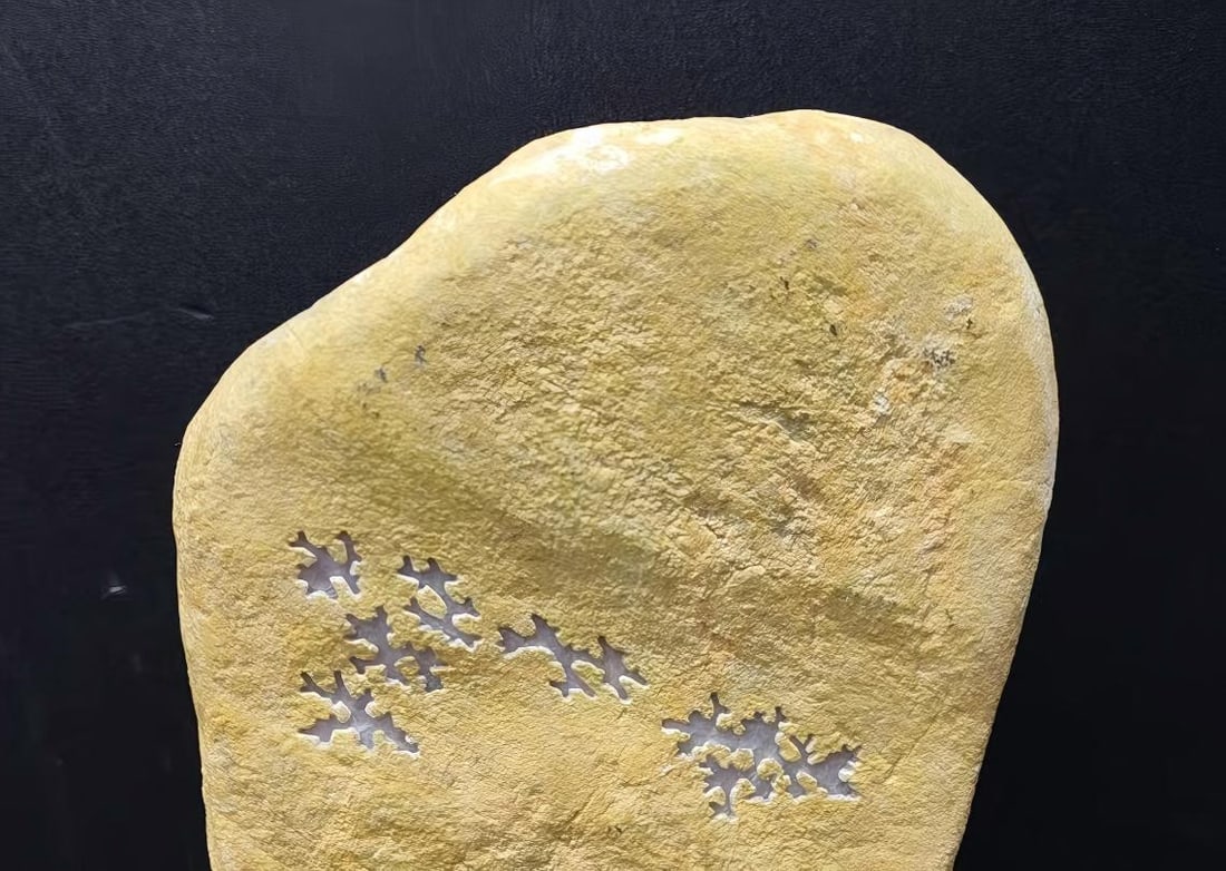 Jadeite Rough Stone - 5