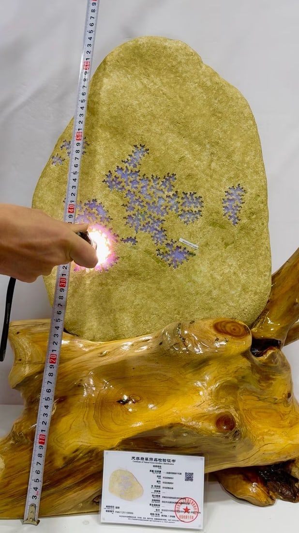 Violet Jadeite Rough Stone - 9