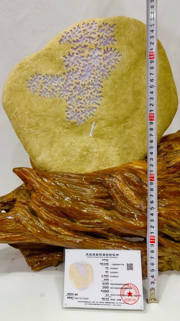 Violet Jadeite Rough Stone - 9