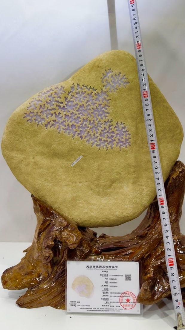 Violet Jadeite Rough Stone - 8