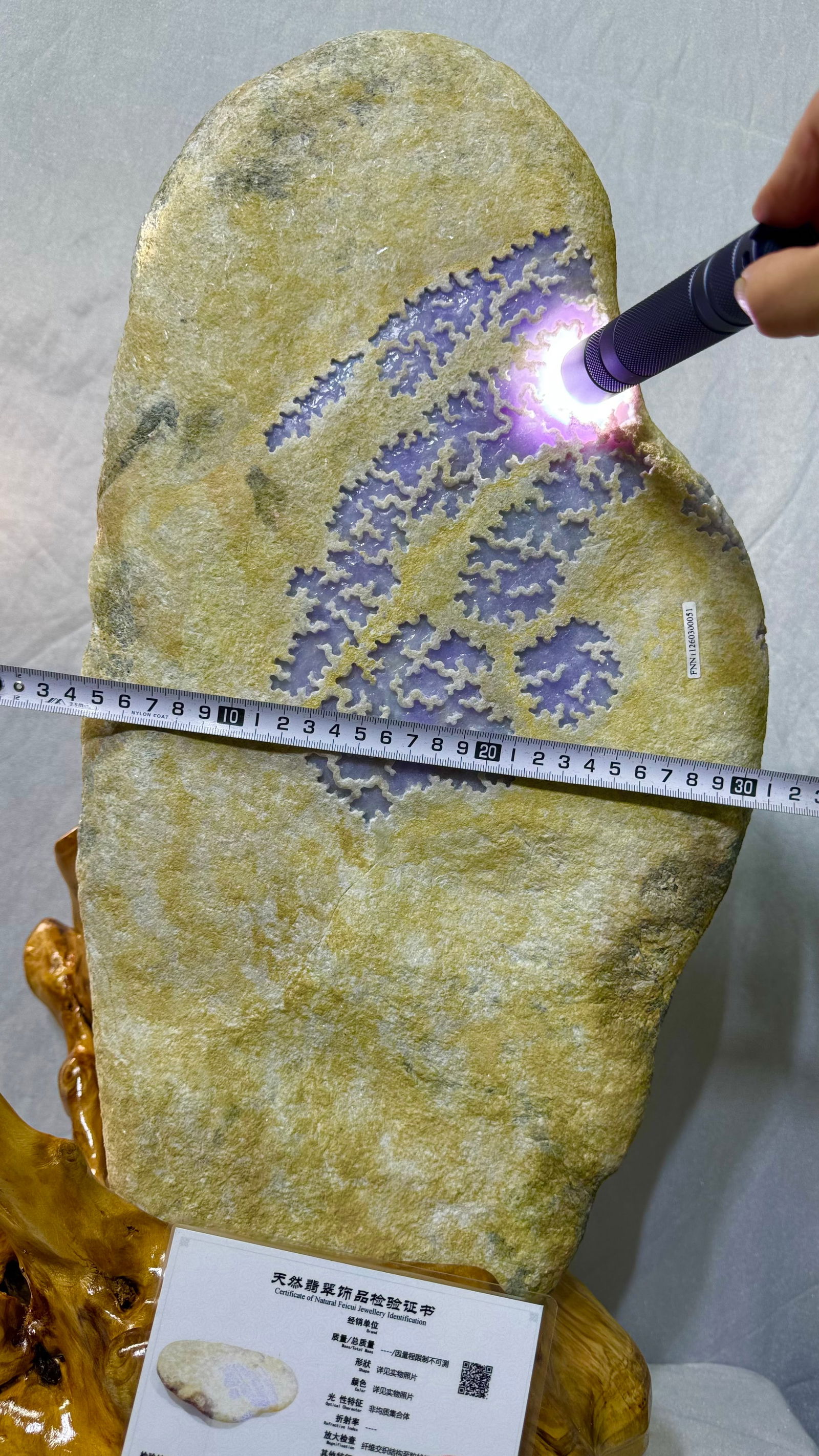 Violet Jadeite Rough Stone - 9