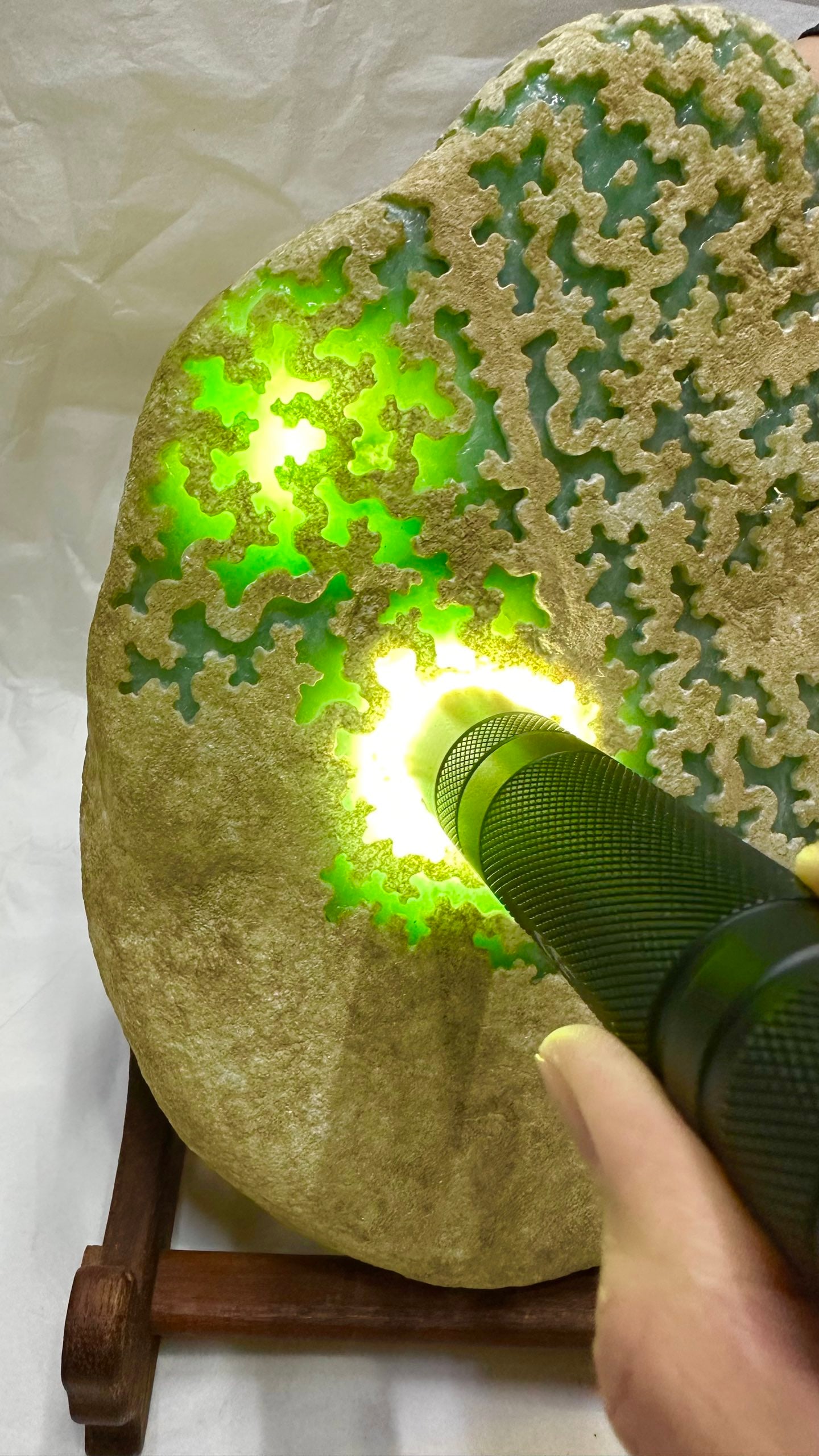 Jadeite Rough Stone - 5