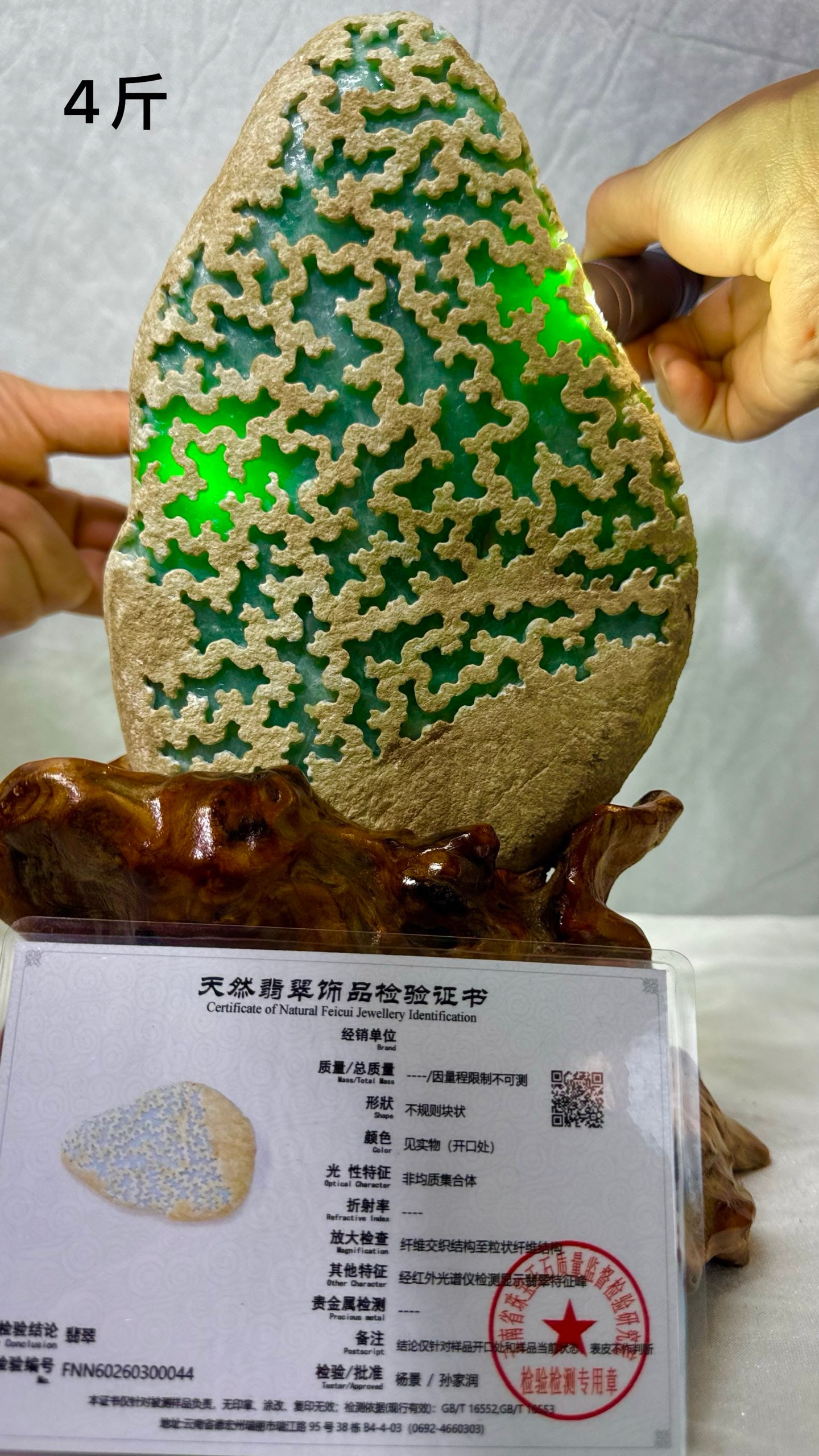 Full Green Jadeite Rough Stone (1 of 8)