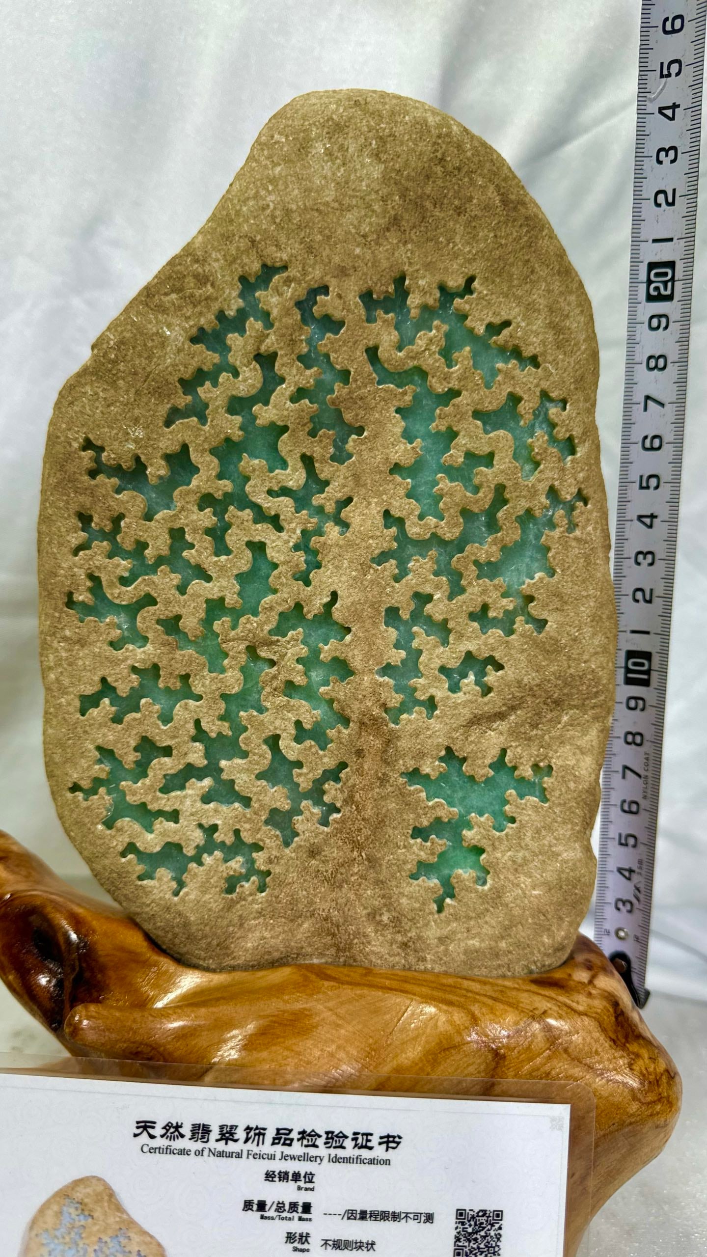 Jadeite Rough Stone - 9