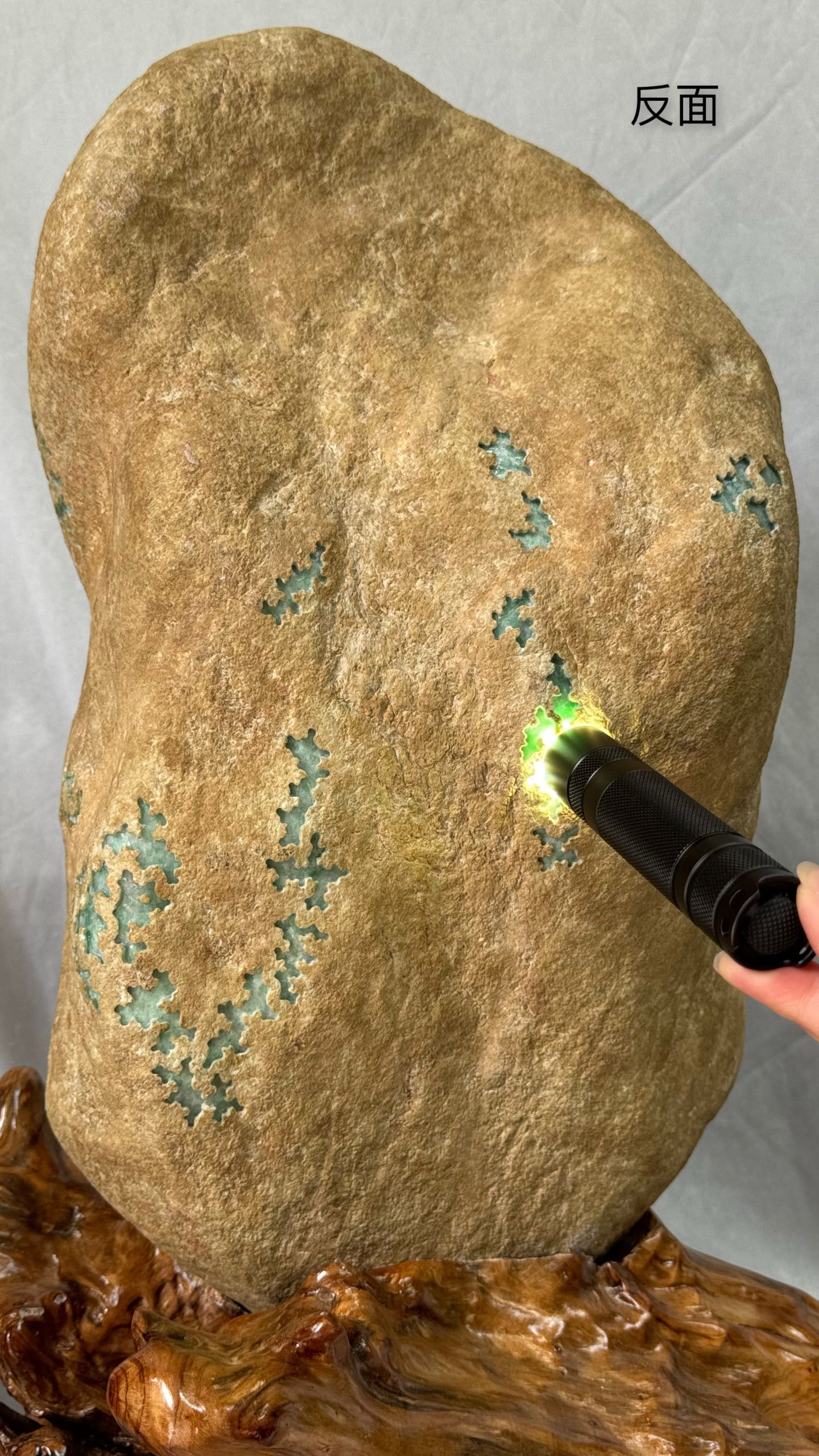 Jadeite Rough Stone With Certificate - 8