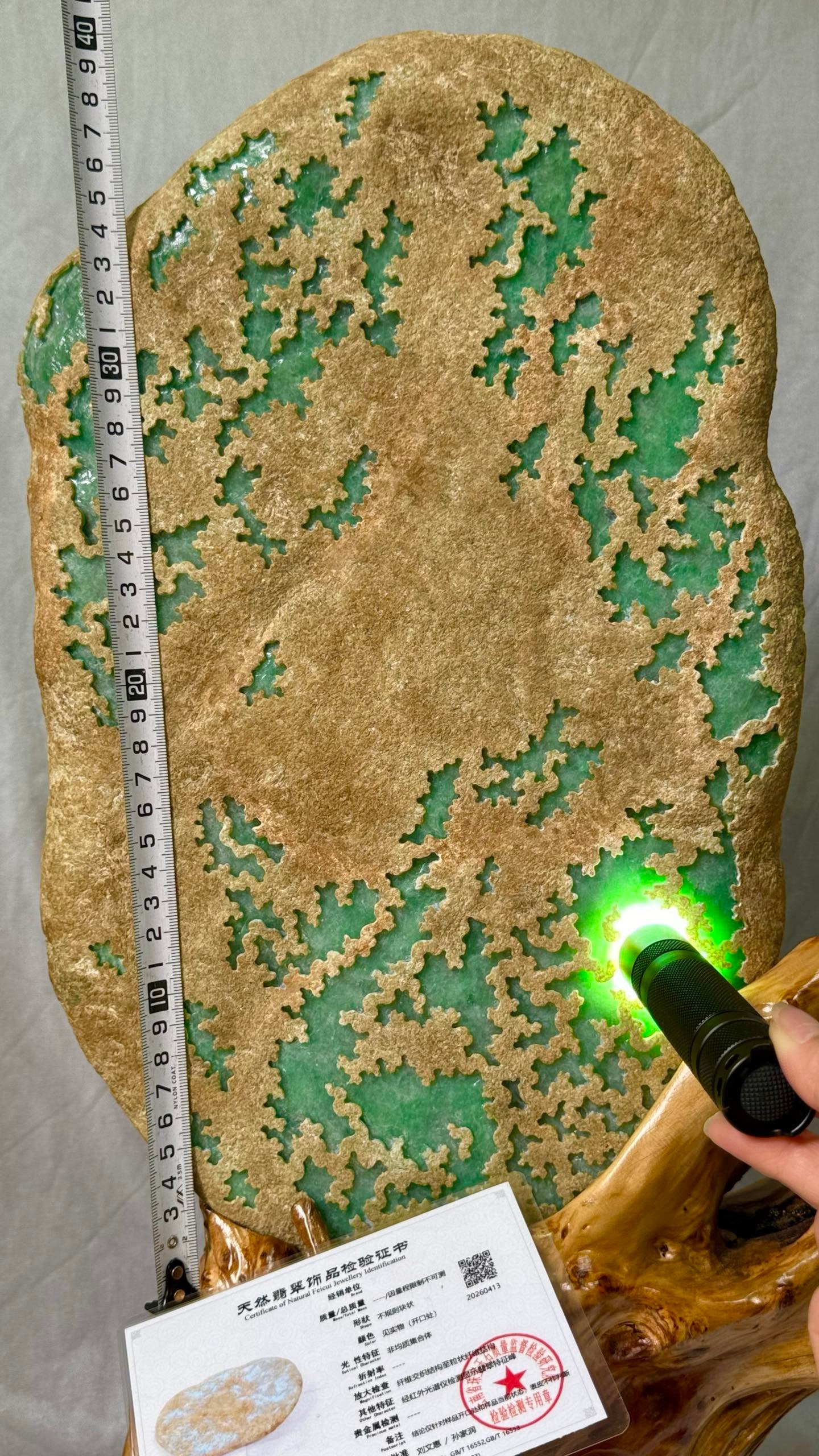 Jadeite Rough Stone With Certificate - 9