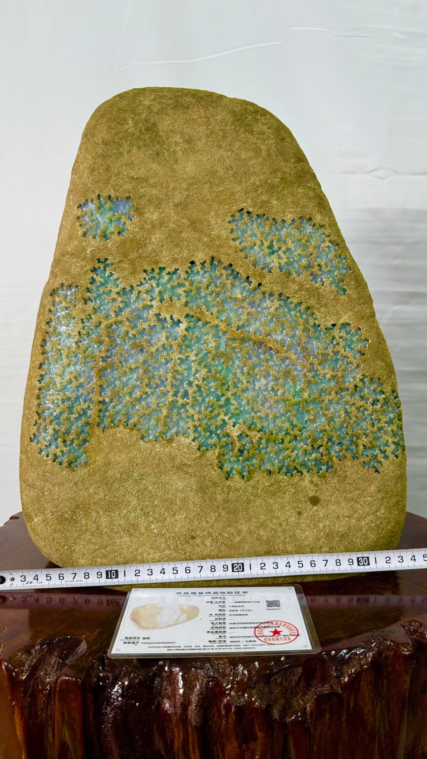 Multicolored Jadeite Rough Stone - 9