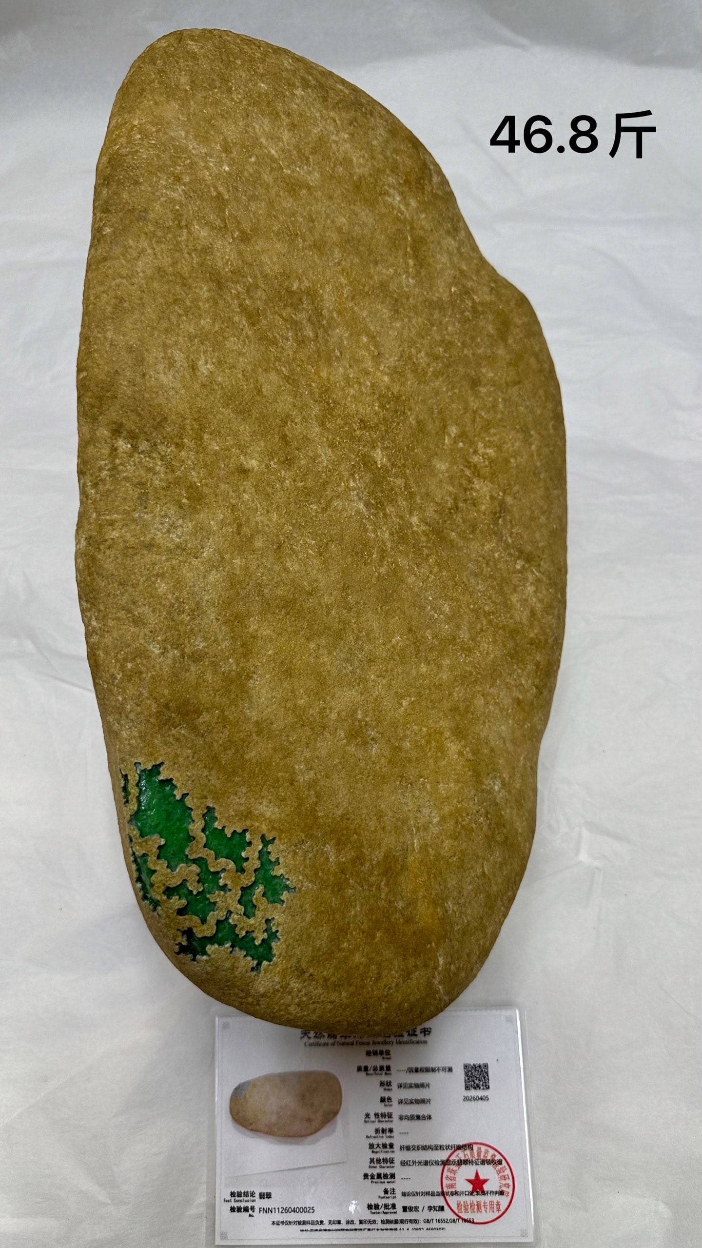 Jadeite Rough Stone (1 of 8)