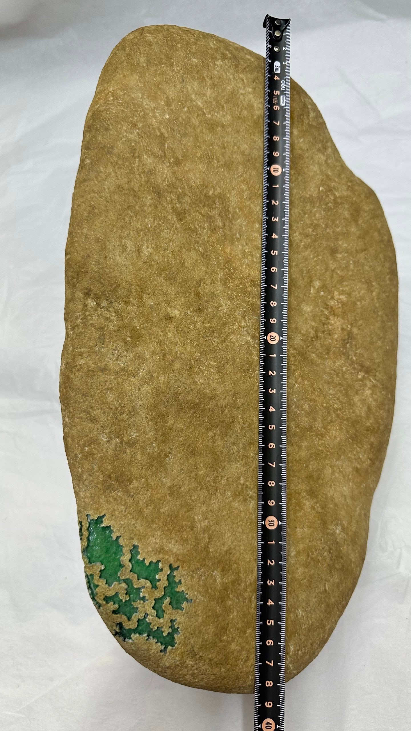 Jadeite Rough Stone - 8
