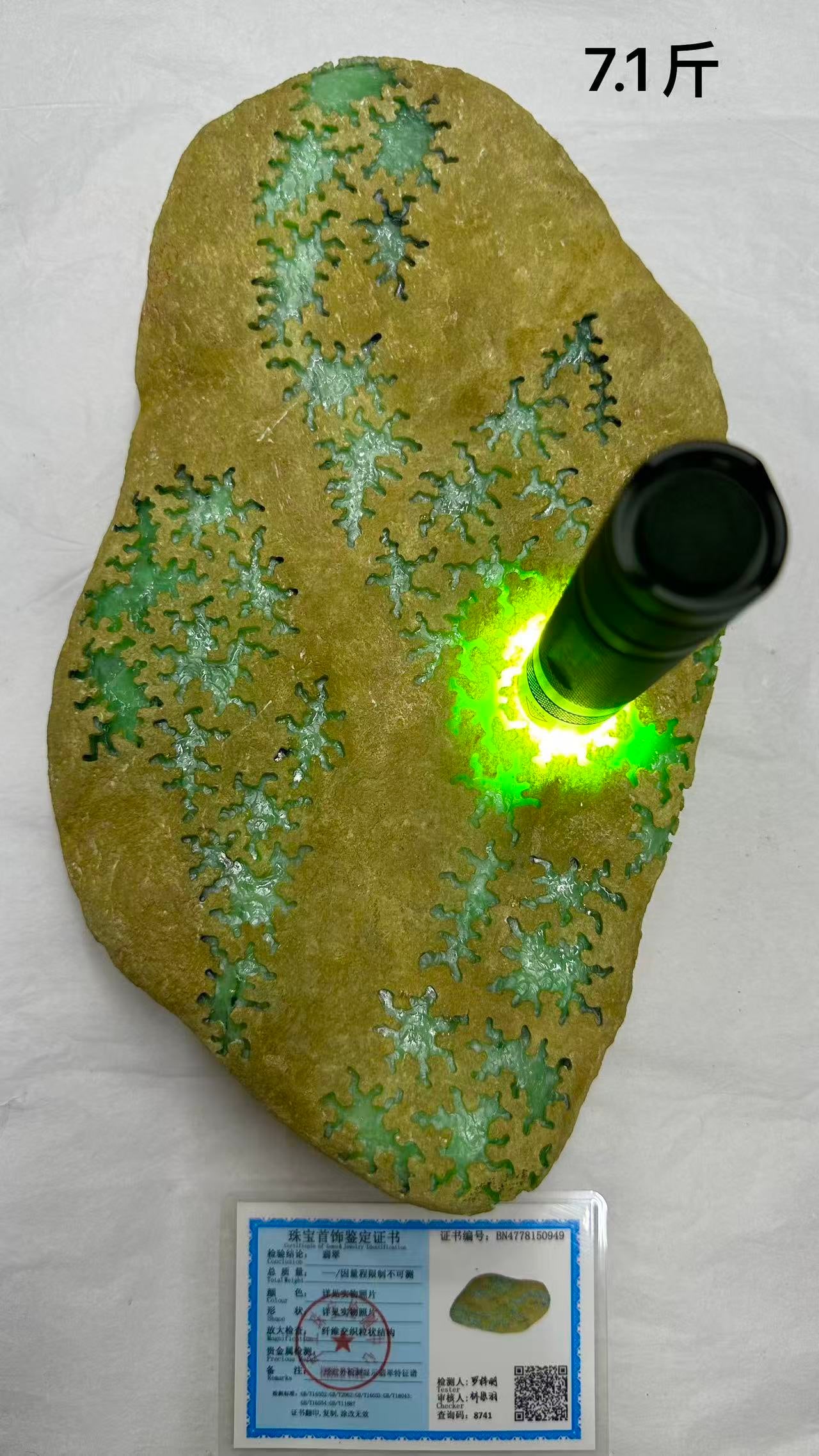 Jadeite Rough Stone (1 of 8)