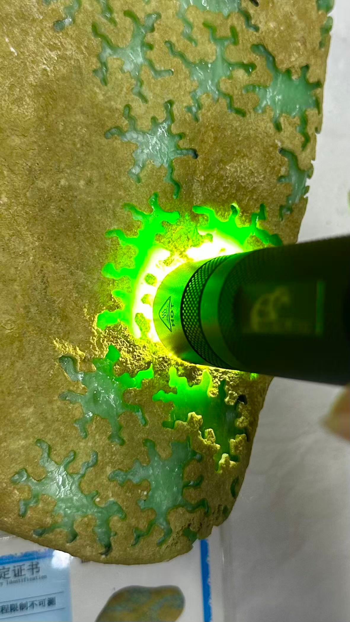 Jadeite Rough Stone - 5