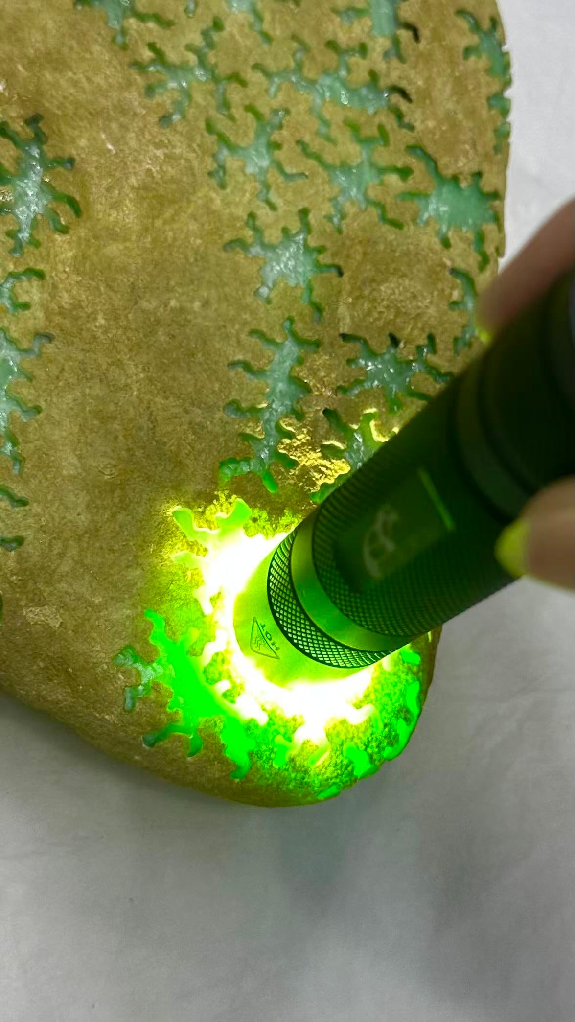 Jadeite Rough Stone - 7