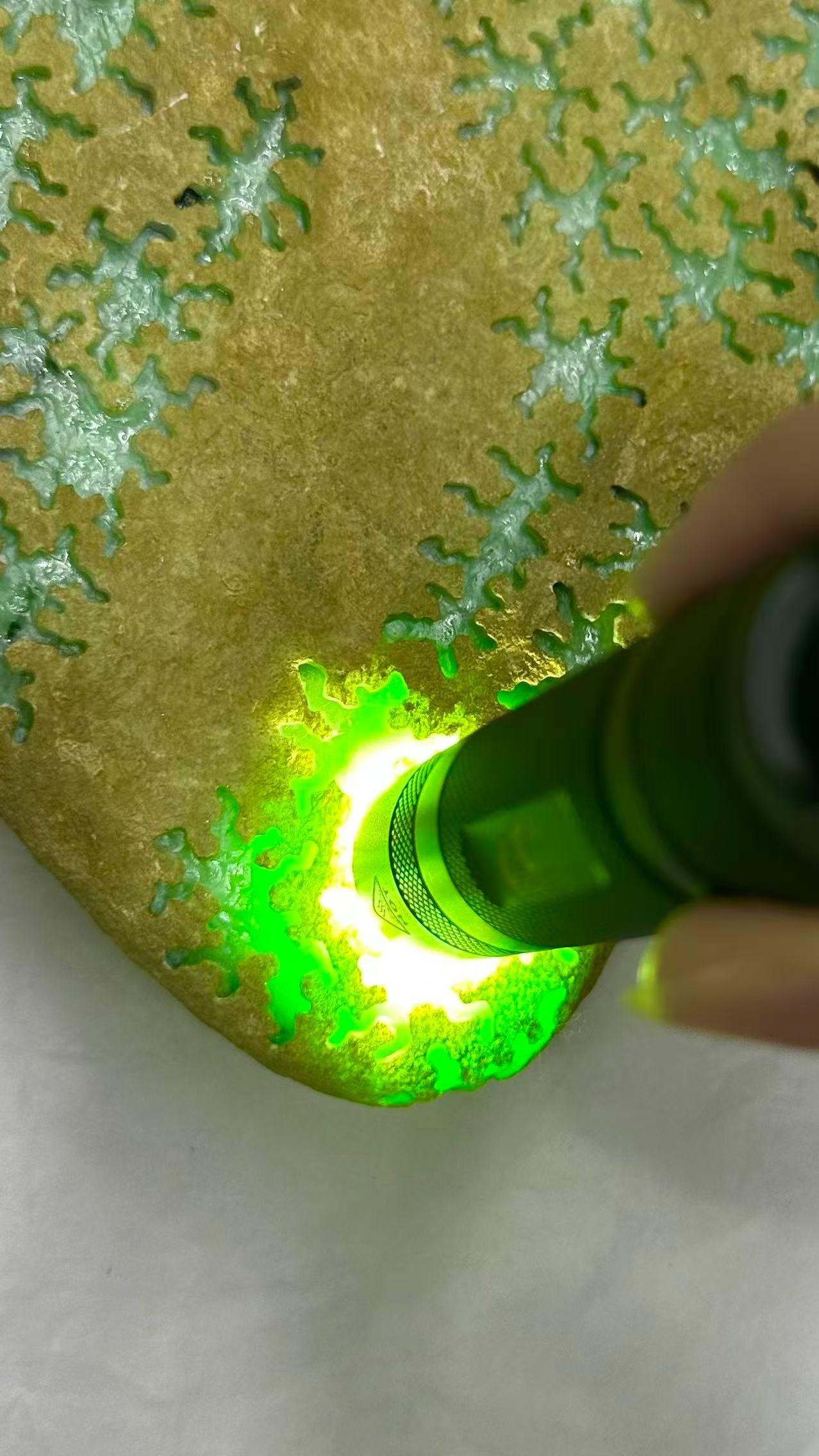 Jadeite Rough Stone - 8