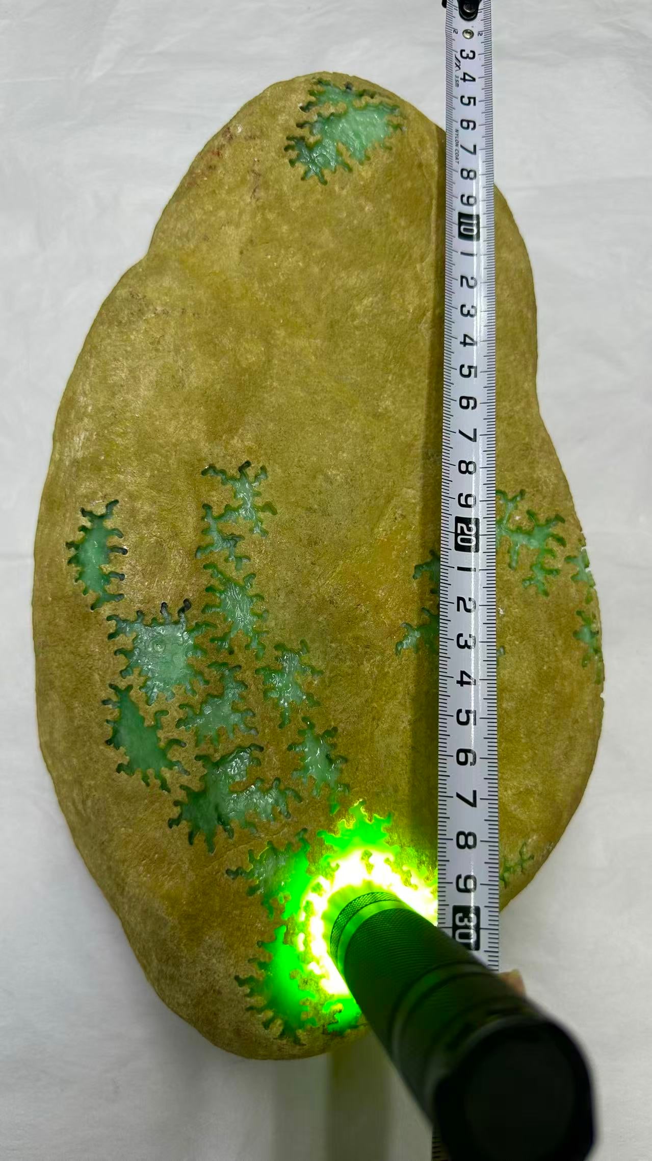 Jadeite Rough Stone - 2