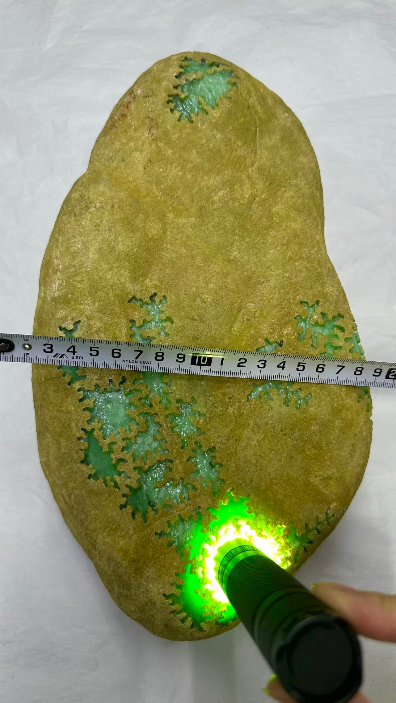 Jadeite Rough Stone - 3