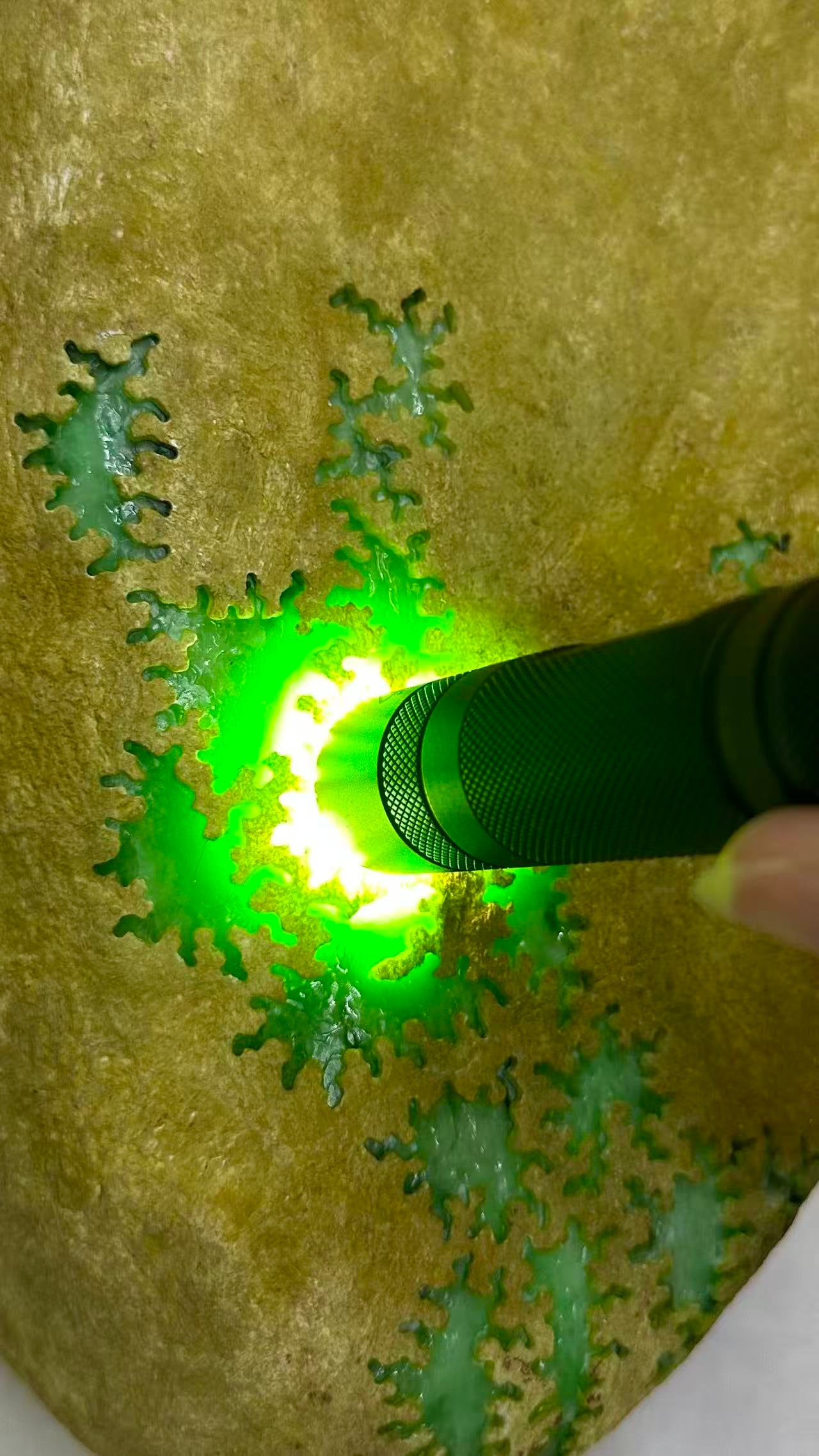 Jadeite Rough Stone - 5