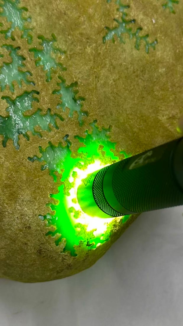 Jadeite Rough Stone - 8