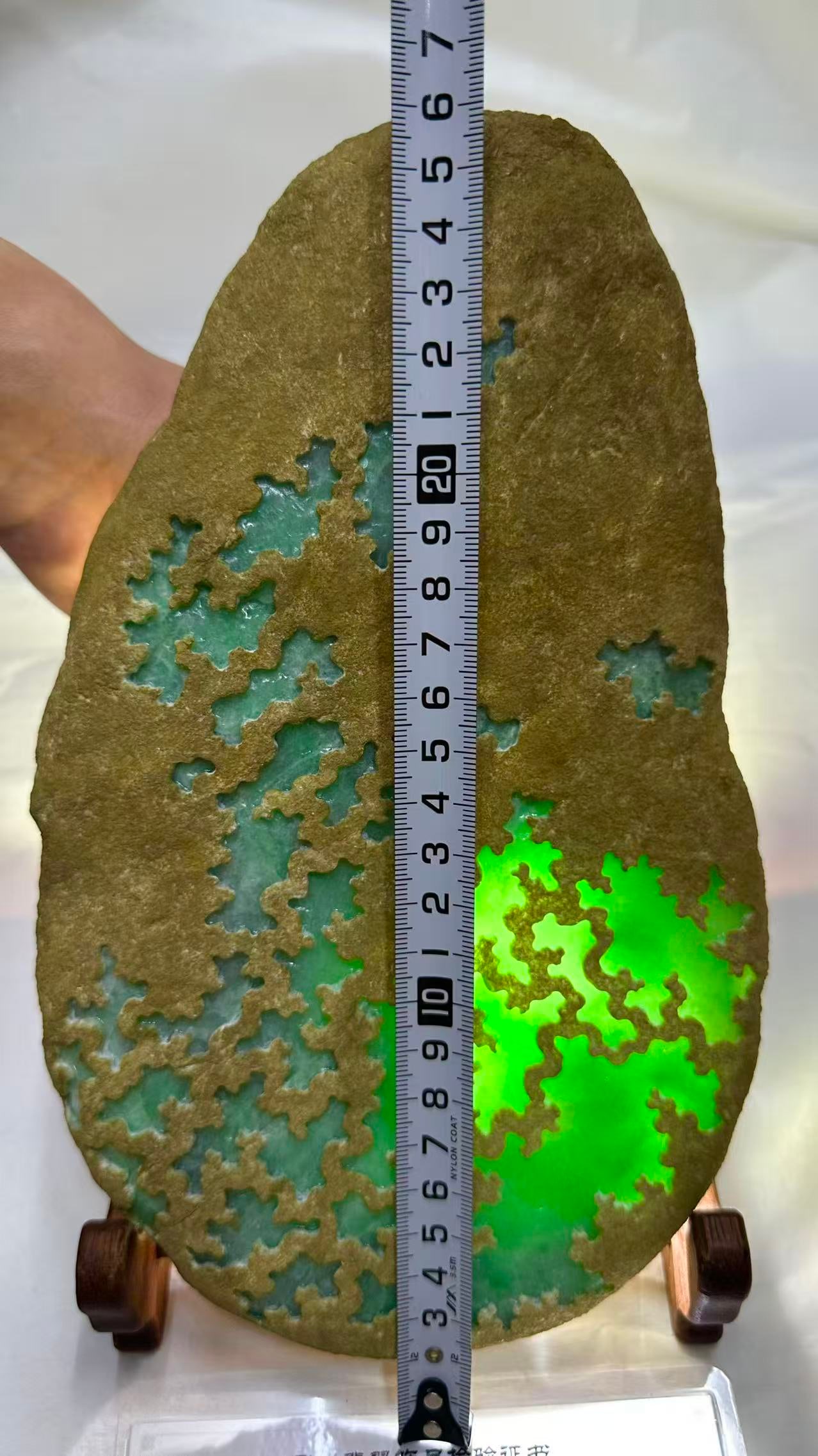 Jadeite Rough Stone - 4