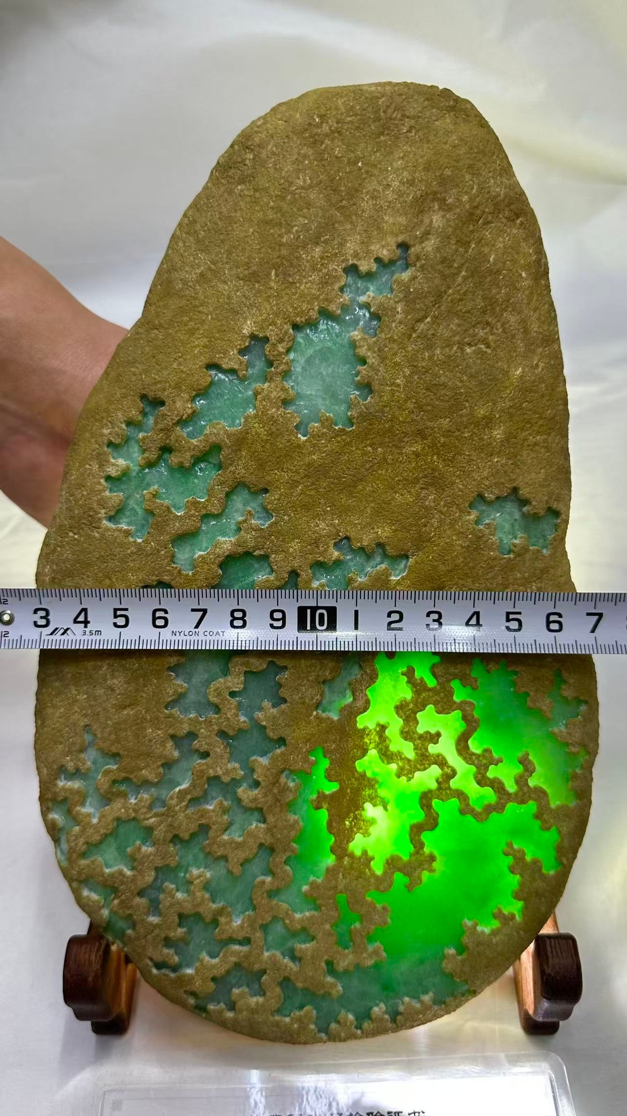 Jadeite Rough Stone - 5